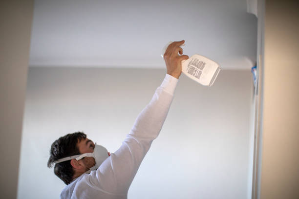 Best Residential Mold Remediation in Pomeroy, WA
