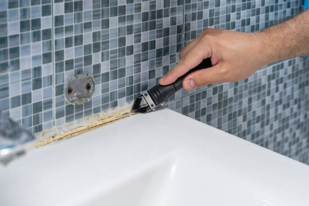 Best Residential Mold Remediation in Pomeroy, WA