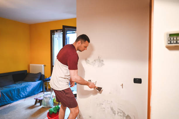 Best Preventive Mold Services in Pomeroy, WA
