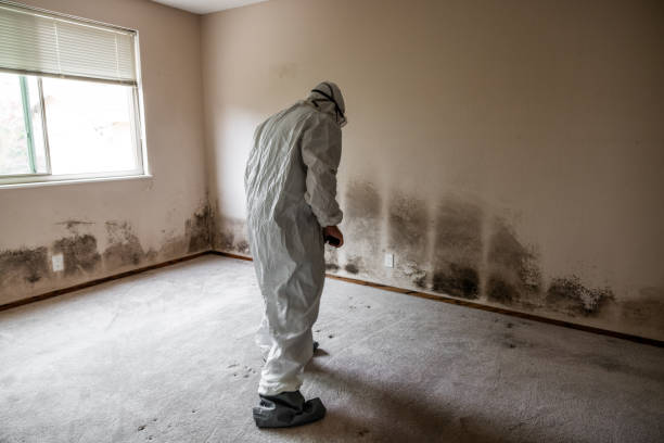 Best Industrial Mold Remediation in Pomeroy, WA